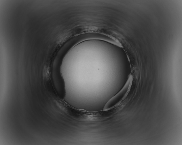 X0000086900564200705071246