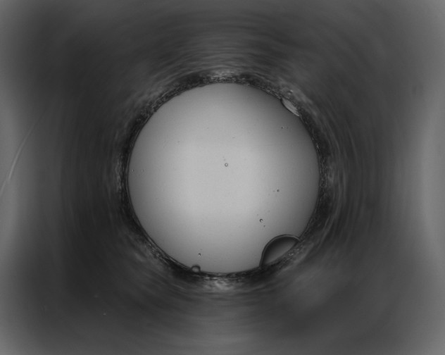 X0000086900565200705071246