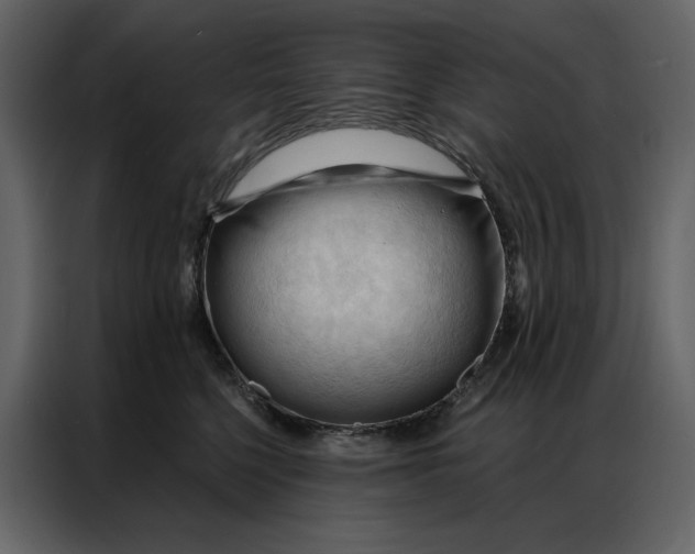 X0000086900568200705071246