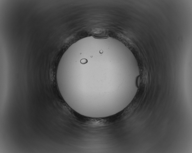 X0000086900569200705071246