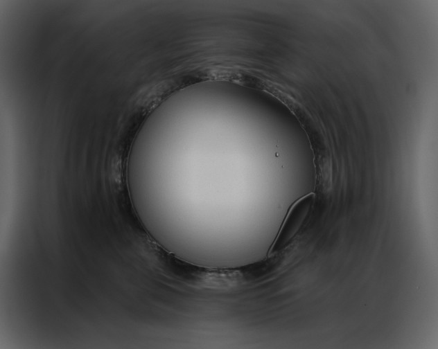 X0000086900571200705071246