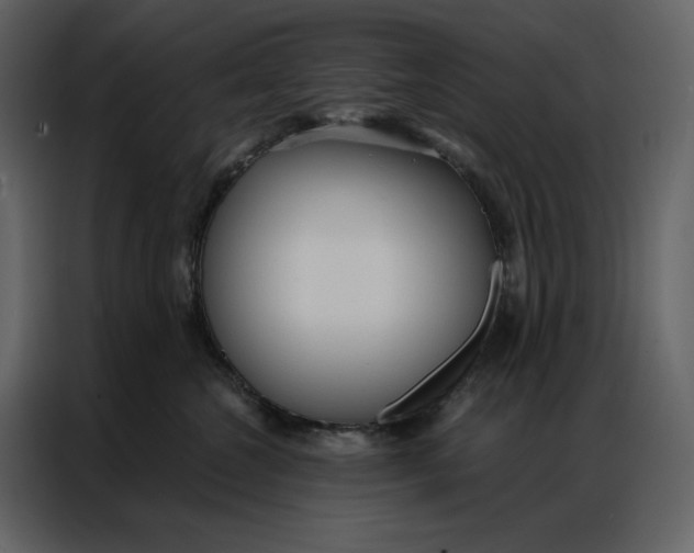 X0000086900572200705071246