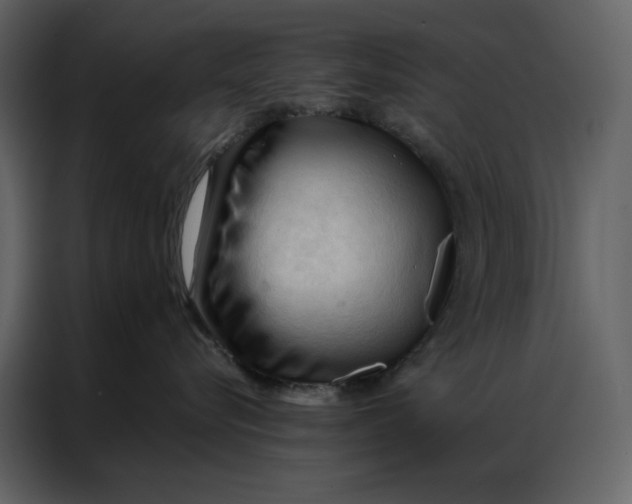 X0000086900576200705071246