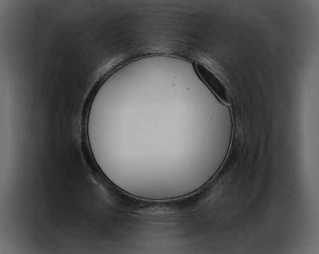 X0000086900578200705071245