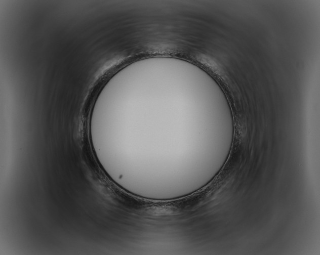 X0000086900583200705071245