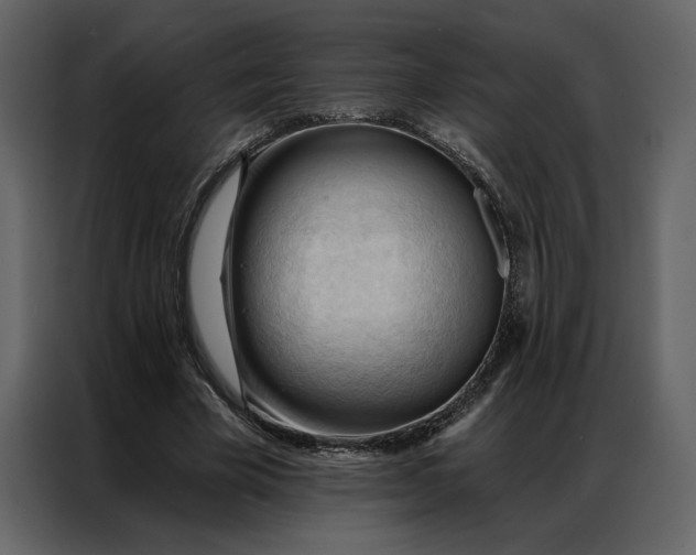 X0000086900585200705071245