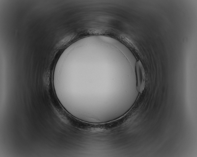 X0000086900586200705071245