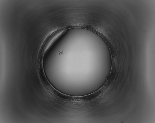 X0000086900587200705071245