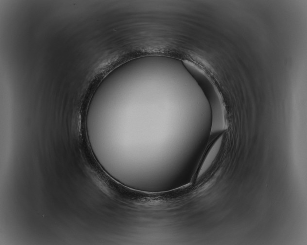 X0000086900589200705071245