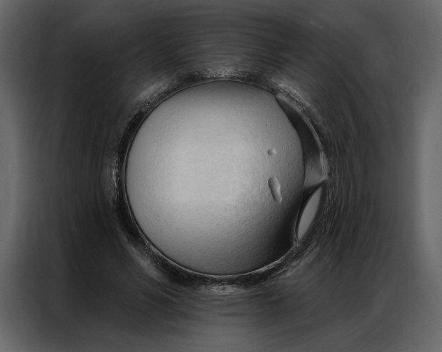 X0000086900590200705071245