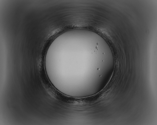 X0000086900591200705071245