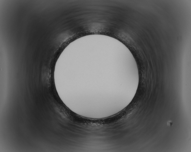 X0000086900592200705071245