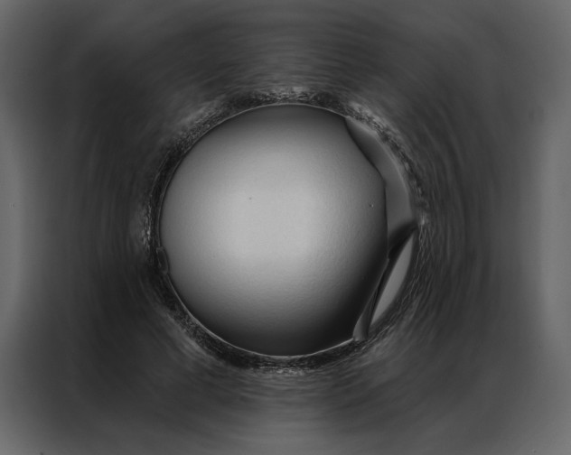 X0000086900593200705071245