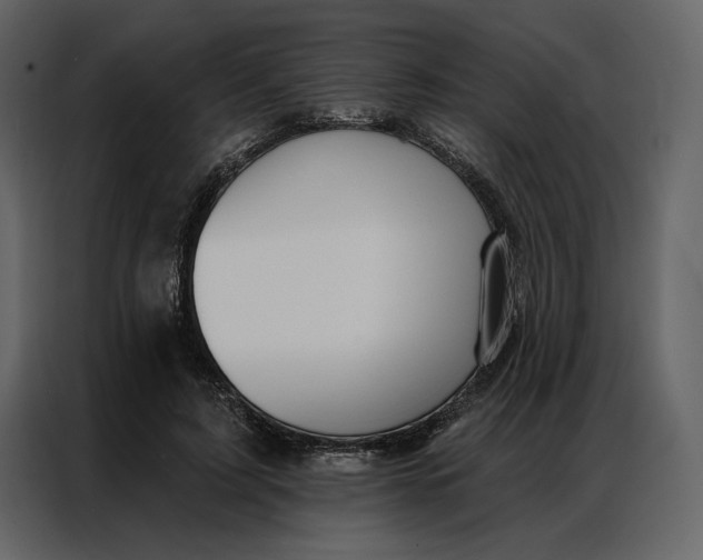 X0000086900595200705071245