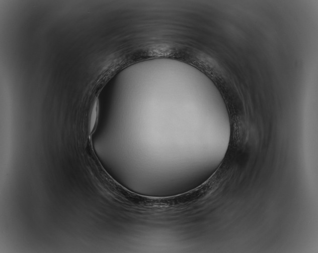 X0000086900598200705071245