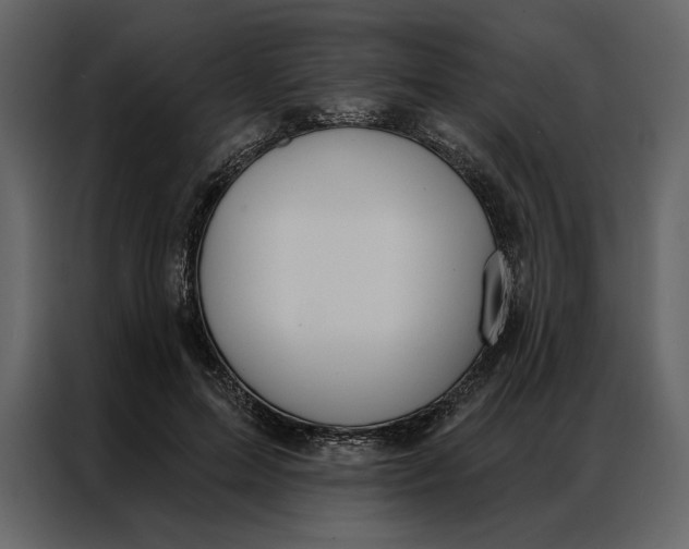 X0000086900599200705071245