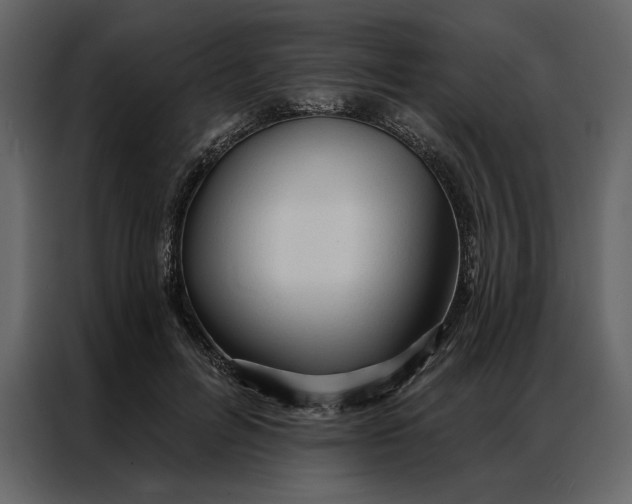 X0000086900600200705071245