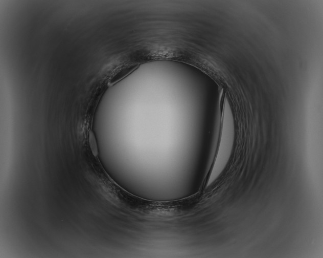 X0000086900601200705071245