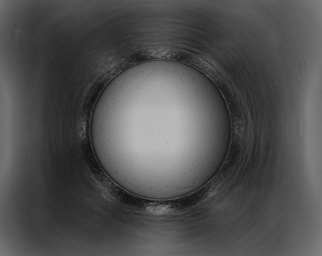 X0000086900602200705071245