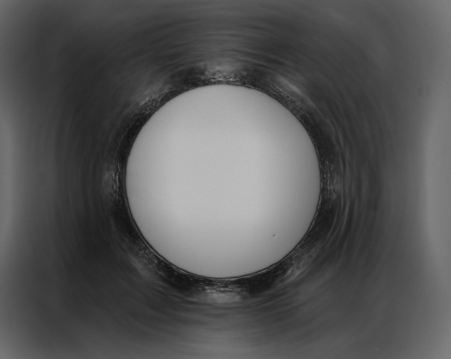 X0000086900603200705071245