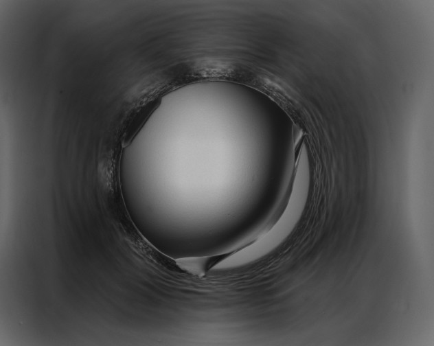 X0000086900604200705071245