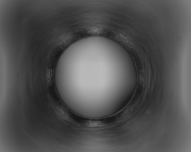 X0000086900605200705071245