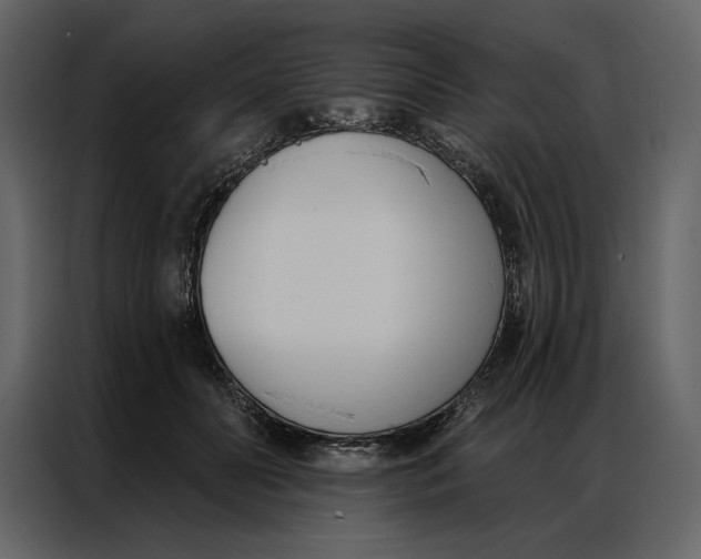 X0000086900606200705071245