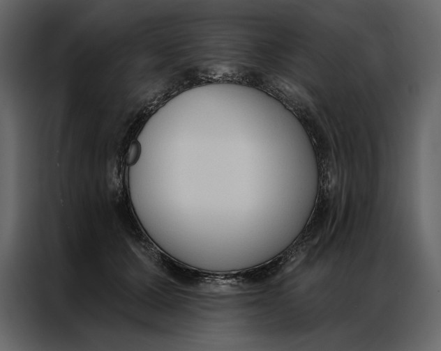 X0000086900607200705071245