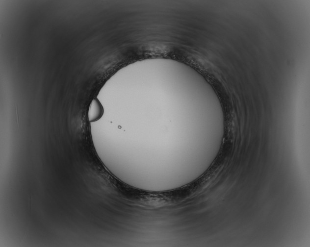 X0000086900608200705071245