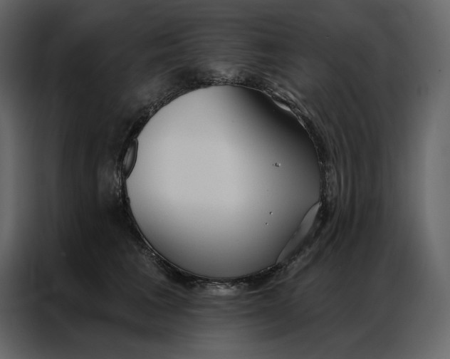 X0000086900613200705071245