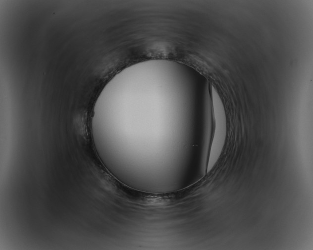 X0000086900616200705071245