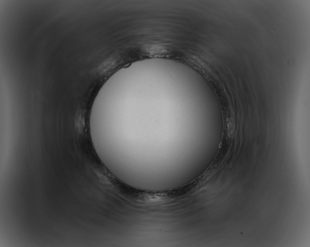 X0000086900618200705071245