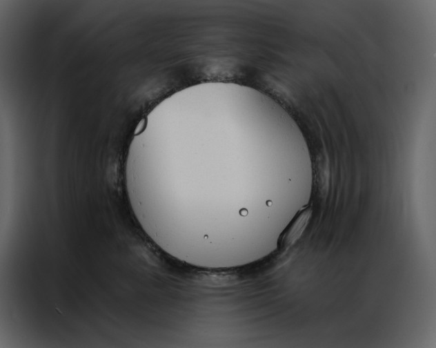 X0000086900619200705071245