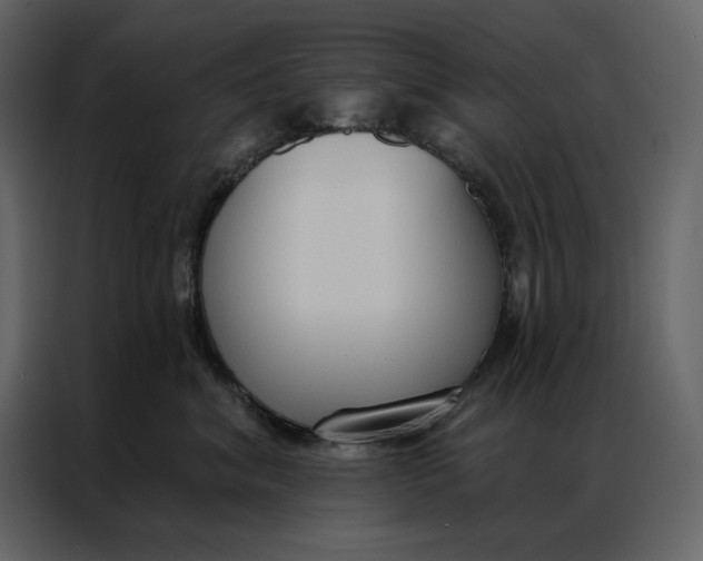 X0000086900620200705071245