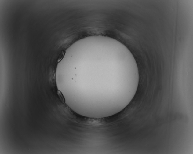 X0000086900624200705071245