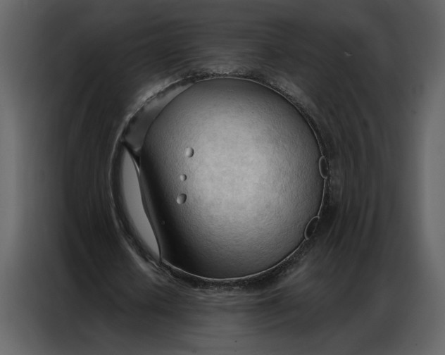 X0000086900626200705071244