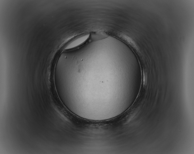 X0000086900627200705071244