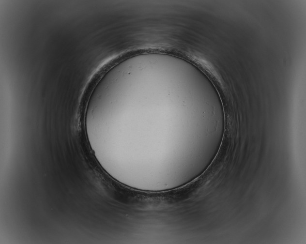 X0000086900628200705071244