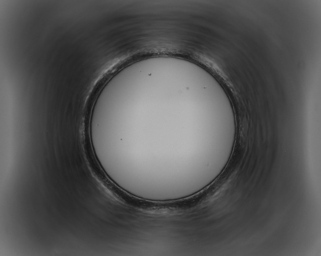 X0000086900629200705071244