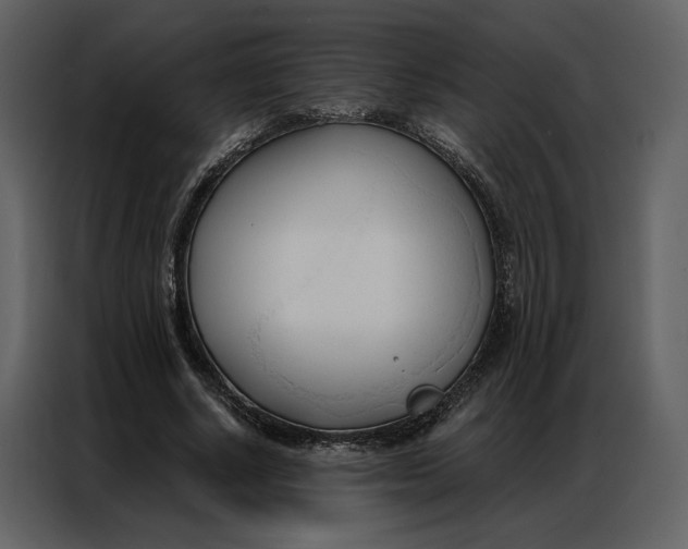 X0000086900634200705071244