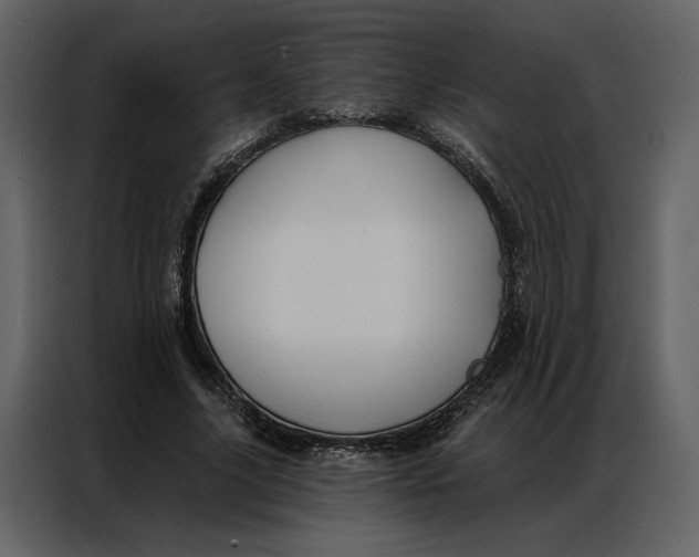 X0000086900635200705071244