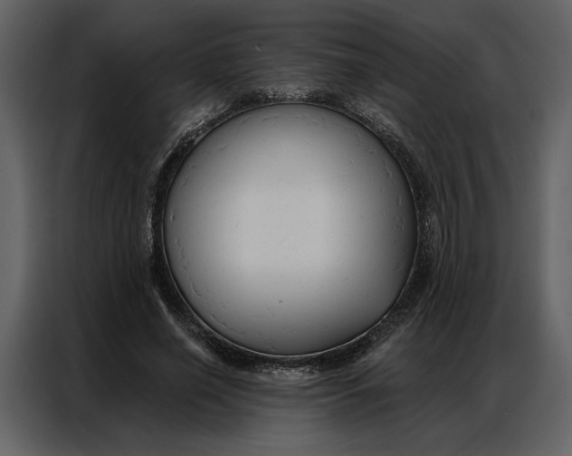 X0000086900638200705071244