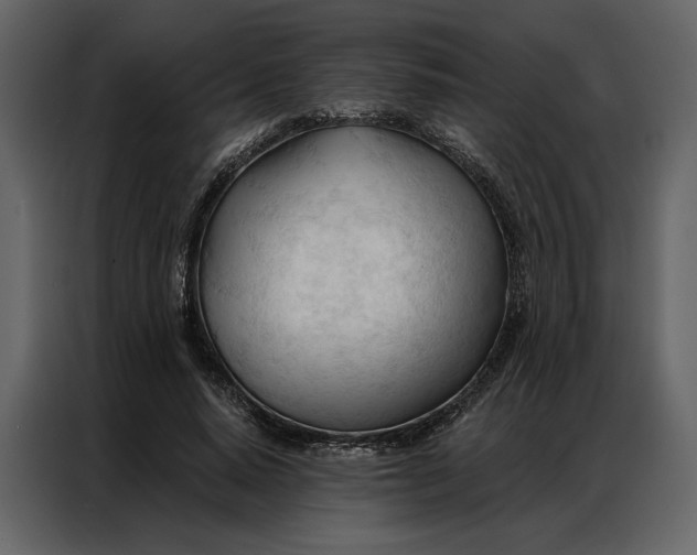 X0000086900640200705071244