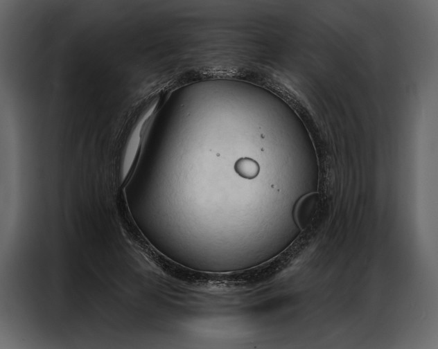 X0000086900641200705071244