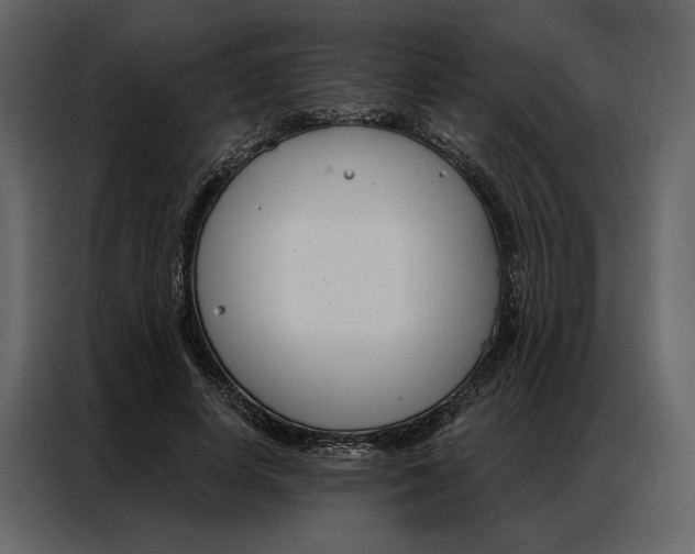 X0000086900642200705071244