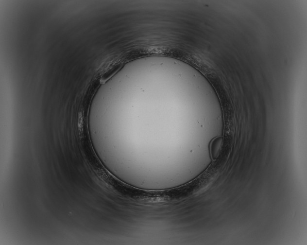 X0000086900646200705071244