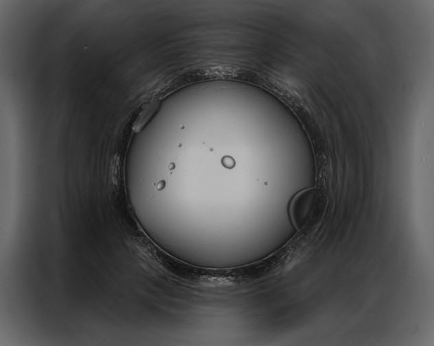 X0000086900649200705071244