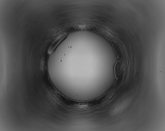 X0000086900651200705071244