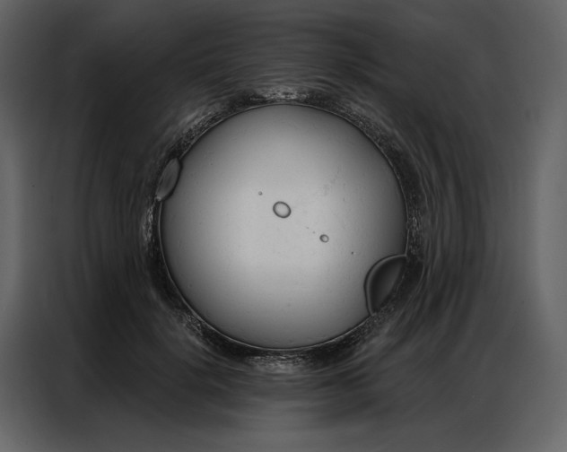 X0000086900652200705071244