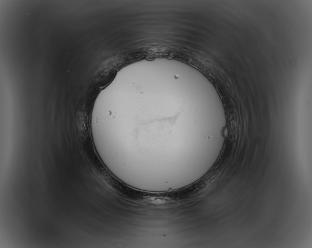 X0000086900654200705071244